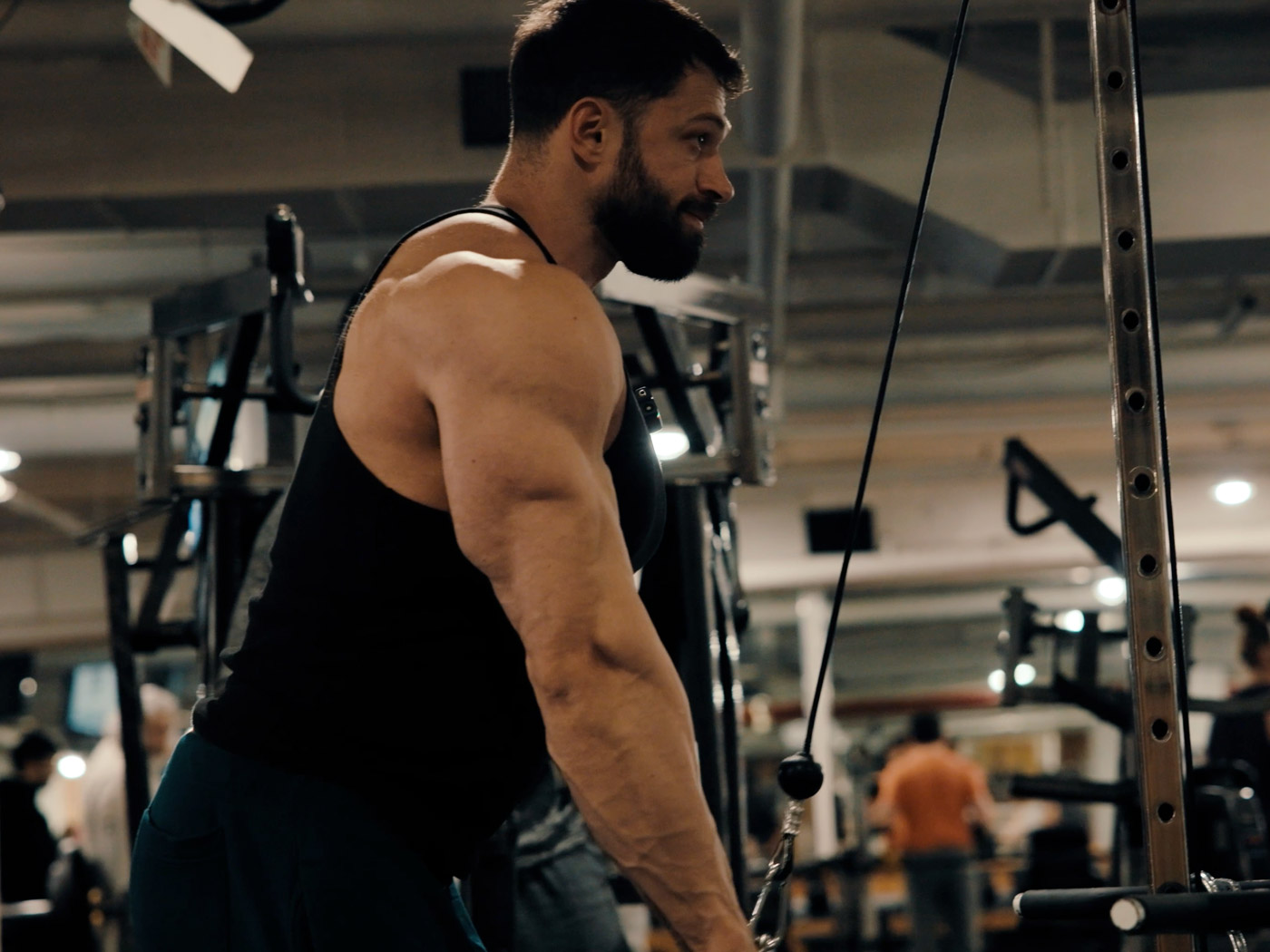 Road to the Arnold Classic: Two Weeks Out