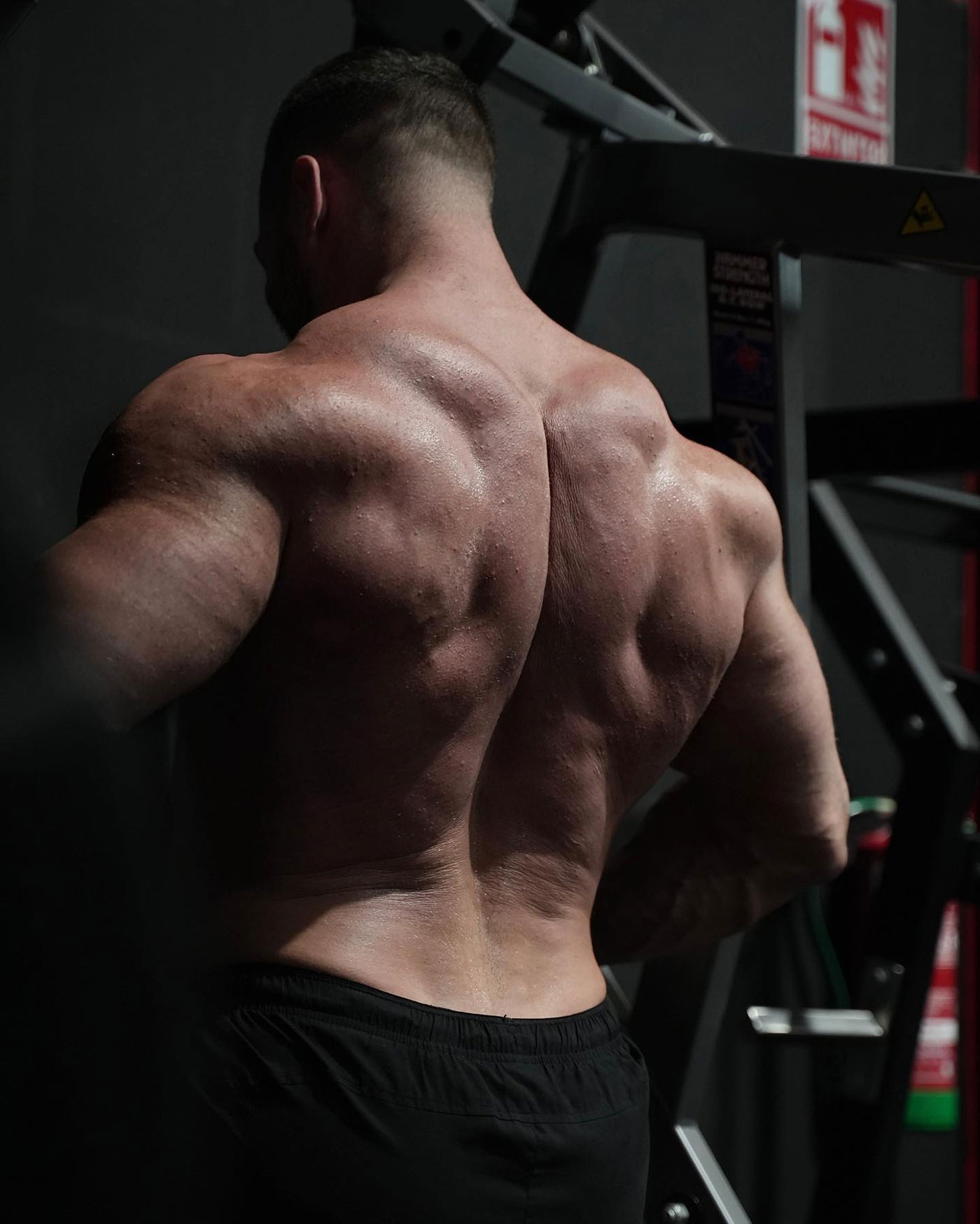 The Muscle Group Too Many Bodybuilders Neglect
